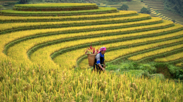Ha Giang & Ba Be Adventure 7 Days