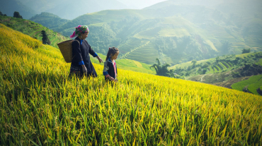 Hidden Trail to a Village of Red Dao 2 days in Sapa