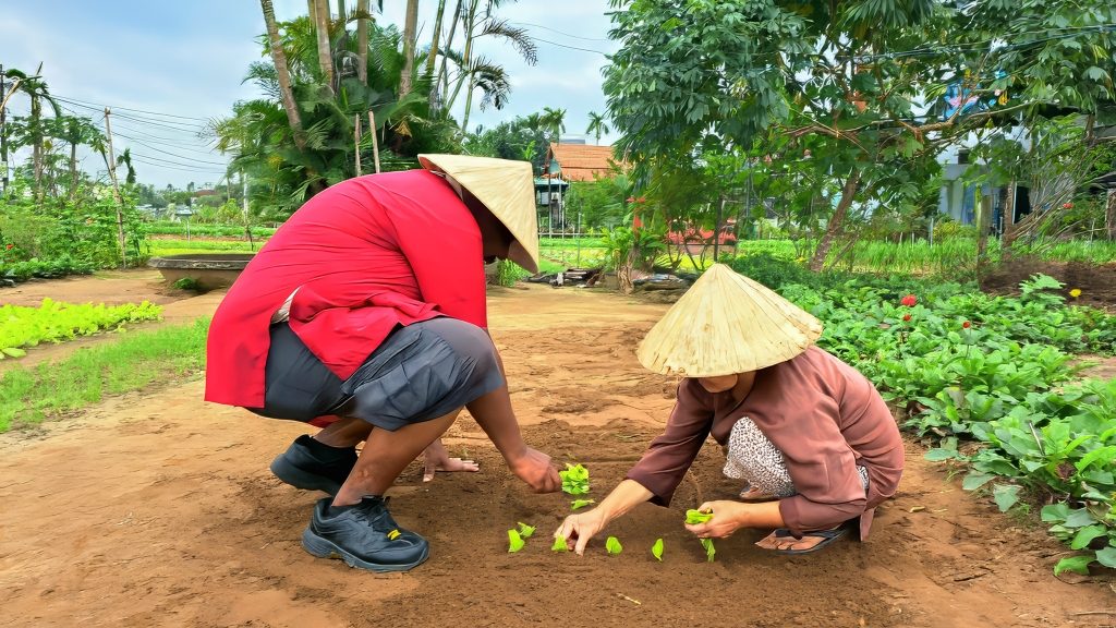 Join Farmers And Learn Traditional Rice Planting Techniques