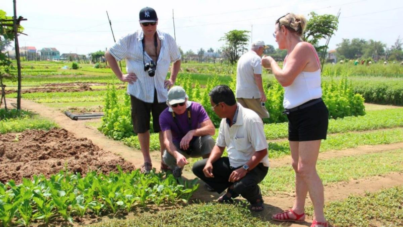 Join Hands In Collecting The Vegetables