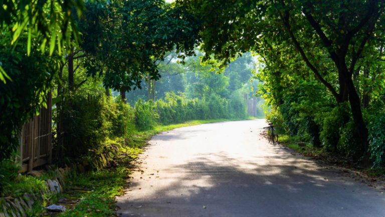 Private Hanoi Tour 2 Days 1 Night – Mai Chau