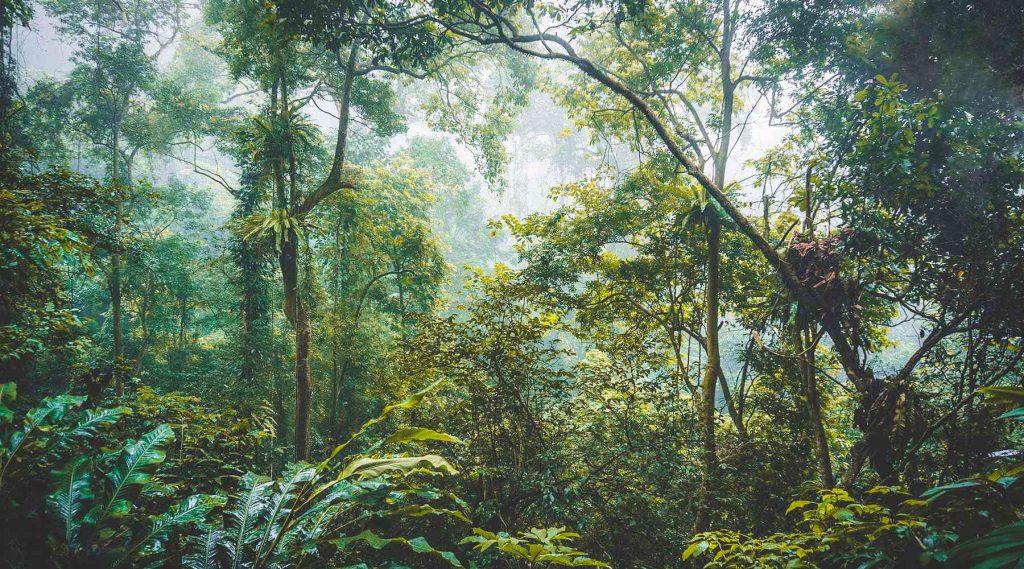 Mai Chau & Cuc Phuong National Park 3 days from Hanoi – EcoSapa Bus