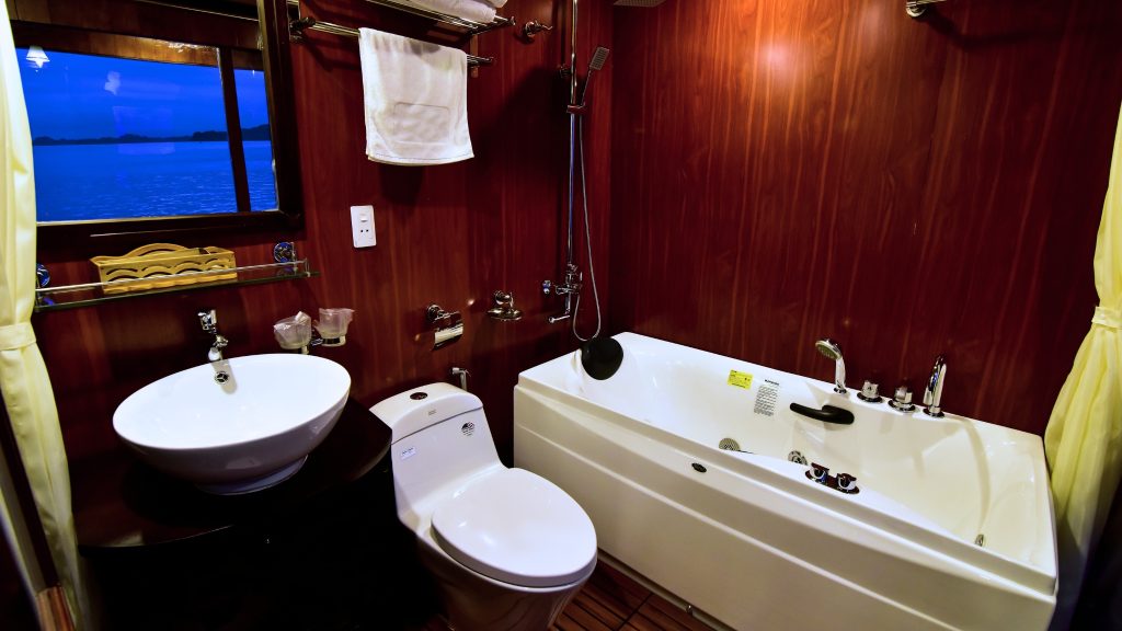 Renea Cruise bathroom with bathtub on Renea Cruise