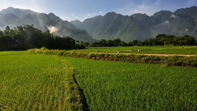 Rustic Rural Scenery Of Mai Chau