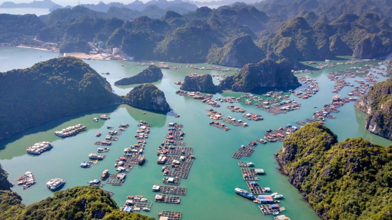 Set Sail On A Scenic Cruise To Lan Ha Bay in Discover Halong Bay