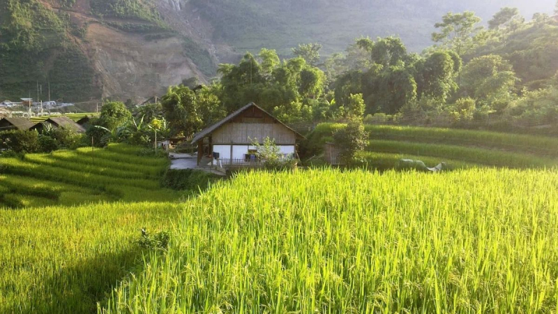 Sapa Motorbike Tour 2 Days 1 Night – Homestay, Lao Chai & Ta Van