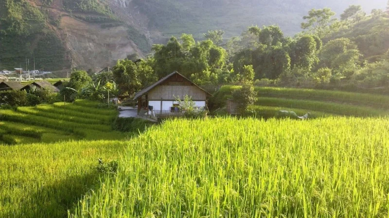 Sapa Motorbike Tour 2 Days 1 Night – Homestay, Lao Chai & Ta Van