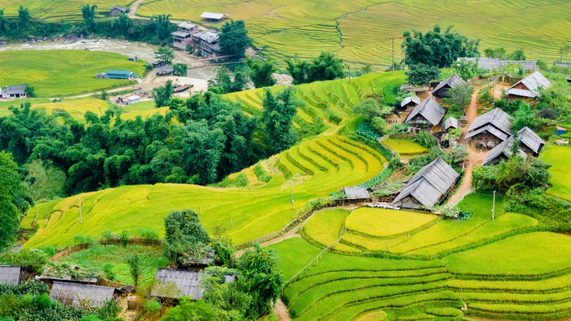 Stunning View Of Muong Hoa Valley in Sapa