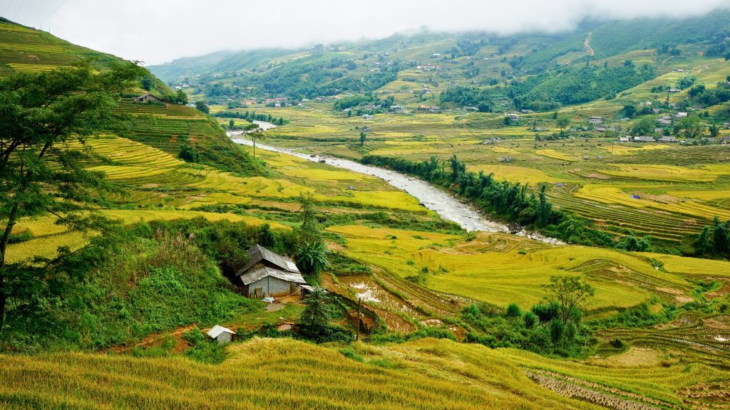Trek To The Serene Ta Van Village in Sapa