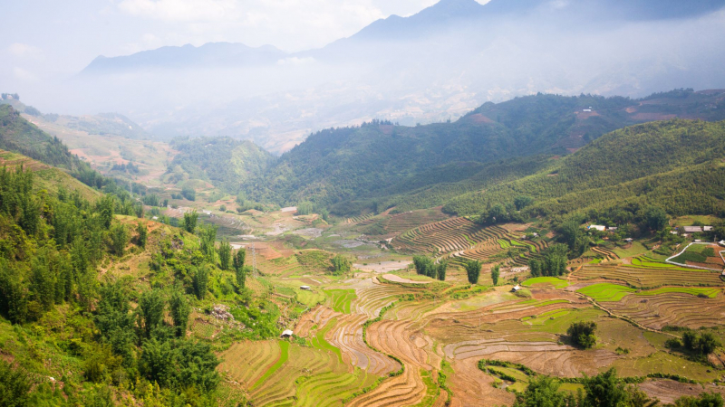 Trekking Through Terraced Rice Fields And Lush Green Valleys in Sapa – EcoSapa Bus