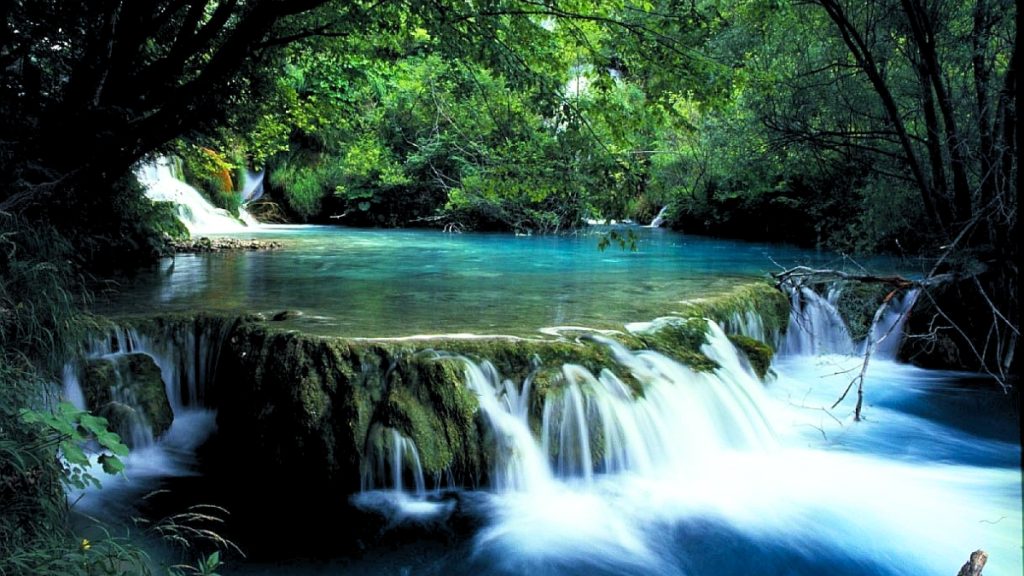 Hue to Bach Ma National Park Tour Full Day