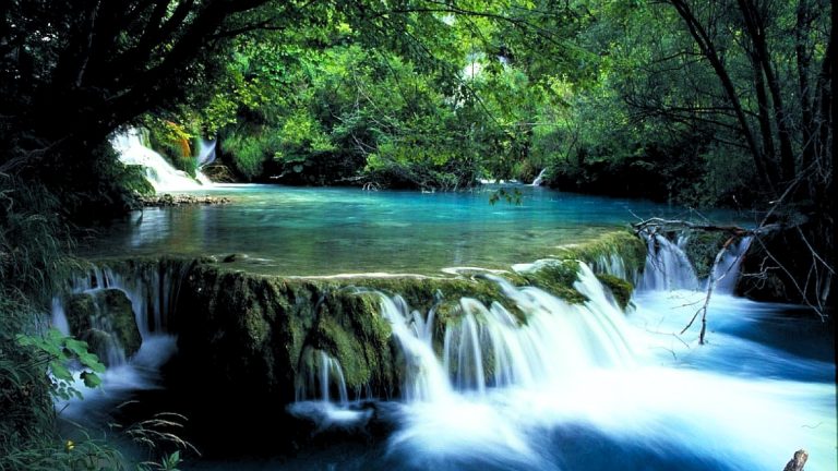 Hue to Bach Ma National Park Tour Full Day