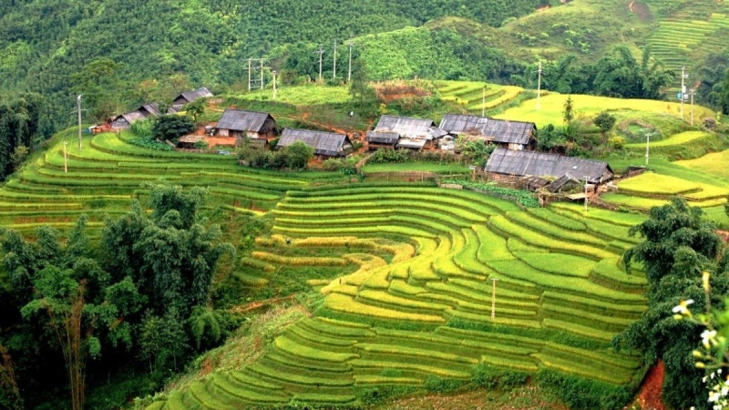Uncover The Rustic Beauty Of Ban Ho Village in Sin Chai