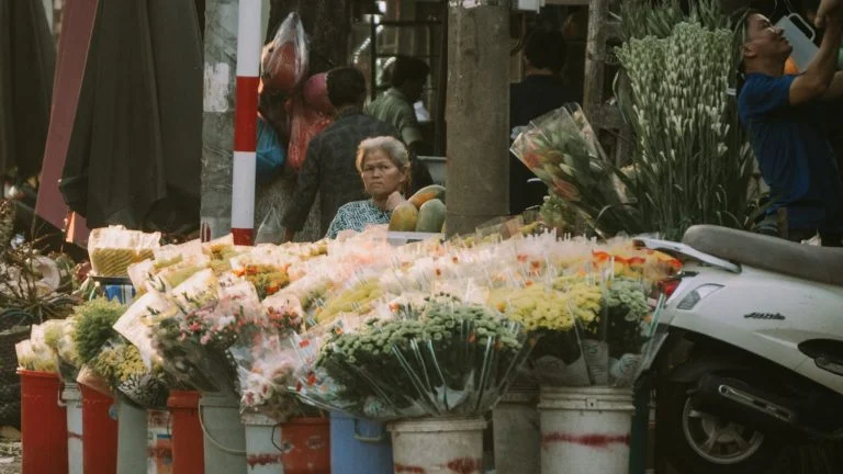Vietnam Food & Culture Journey: Ho Chi Minh to Tra Su Forest – 4 Days