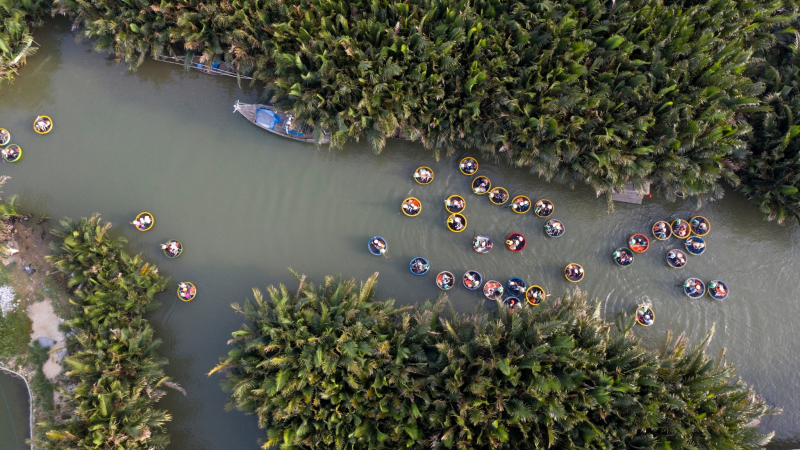 Weave Through The Greenery Water Coconut Palms in Sapa